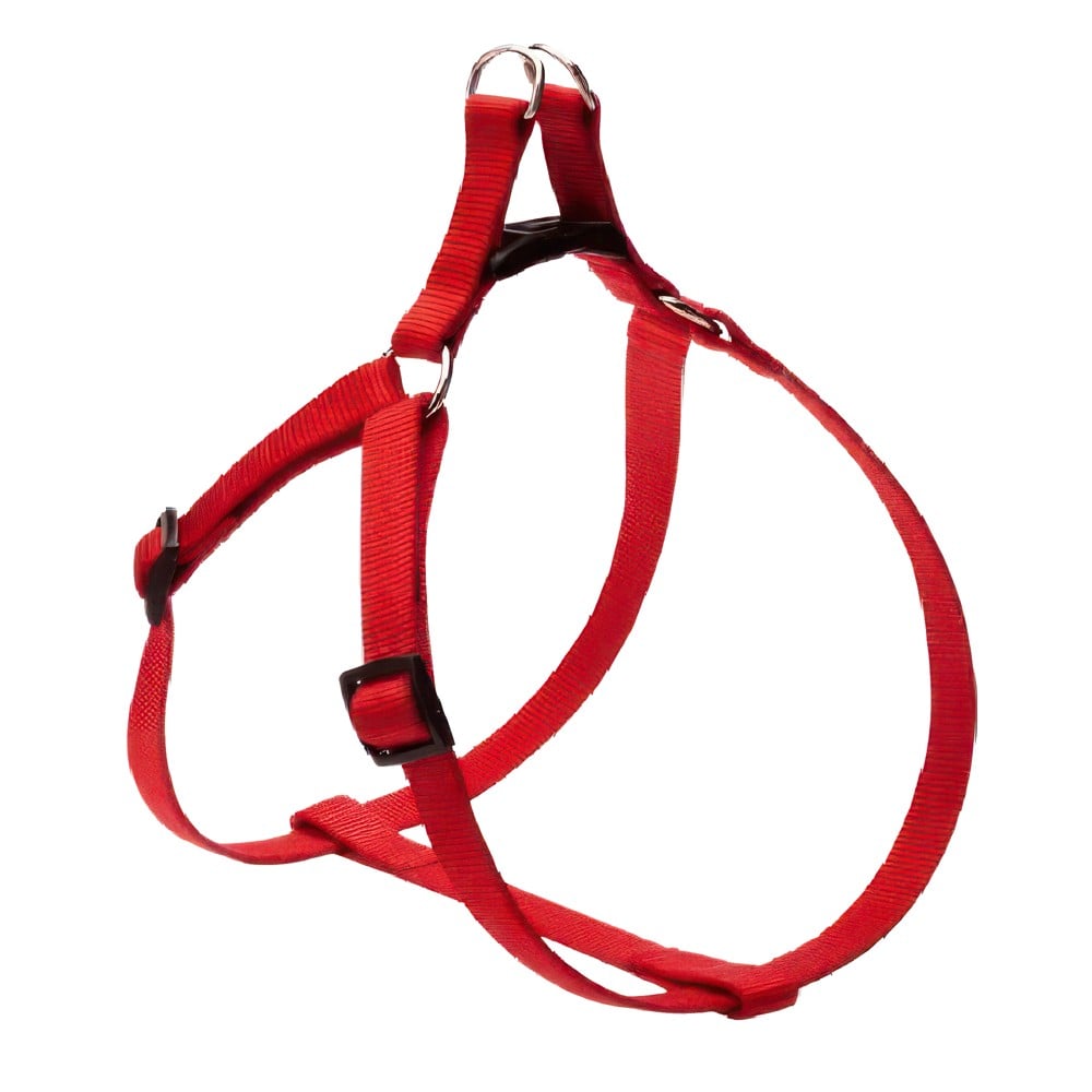 Dog harness, Camon, 18 mm x 85 cm, red color | Megatek