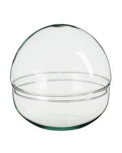 Flower pot, Terrarium, glass, clear, Ø19.5xH19.5 cm