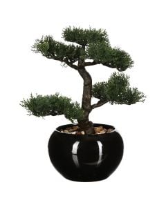 Bonsai, në vazo, pe/qeramike/polistiren, zezë, 35x32xH34 cm