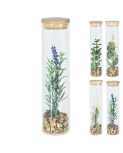 Bimë artificiale, në vazo qelqi, të ndryshme