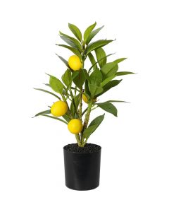 Pemë artificiale, Lemon, në vazo plastike, jeshile/e verdhë, Ø20xH43 cm