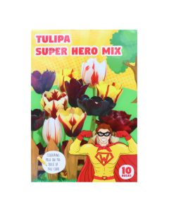 Bulba, combi tulip hero mix, 10 cop/pako, 3 cop tulip triumph gavota, 3 cop tulip triumph happy generation, 2 cop tulip triumph helmar, 2 cop tulip single late queen of night