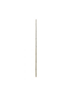 Bamboo natyral, Giardino Verde, H90 cm, Ø 10-12 mm