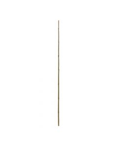 Bamboo natyral, Giardino Verde, H150 cm, Ø 10-12 mm