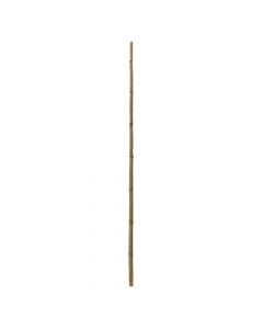 Bamboo natyral, Giardino Verde, H180 cm, Ø 50-60 mm