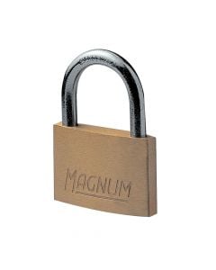 Masterlock padlock, Security level 2, 20mm brass padlock - steel shackle,