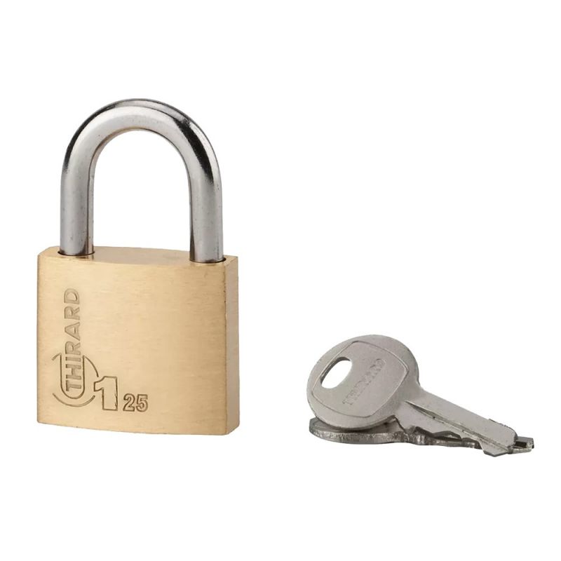 Padlock 25 mm,compact Alloy body, simple lock, 2 keys | Mega